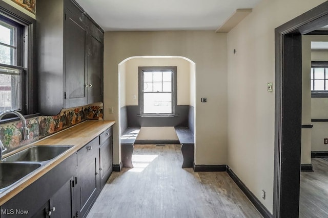 kitchen featuring light wood-type flooring, plenty of natural light, and sink