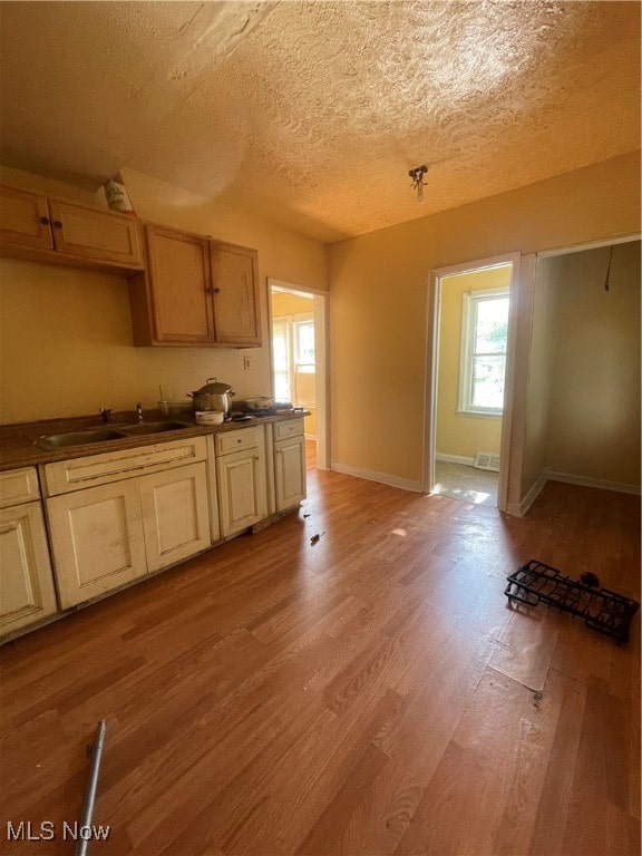 kitchen with a textured ceiling, light hardwood / wood-style floors, and sink