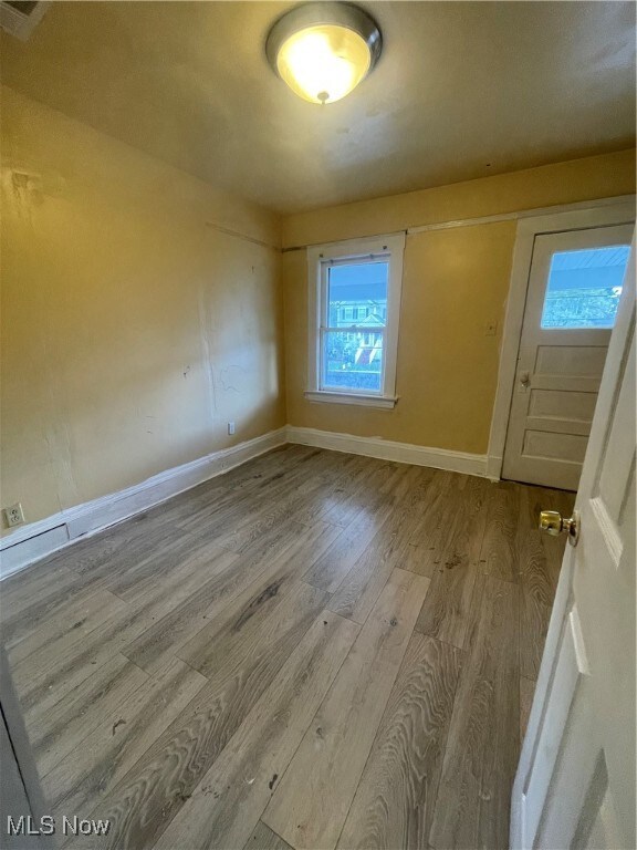 empty room with light wood-type flooring and a wealth of natural light