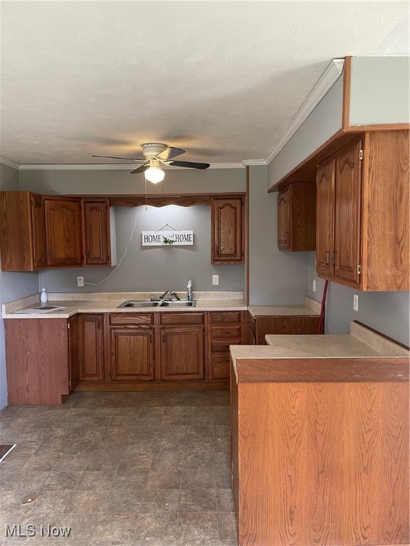 kitchen with ornamental molding, sink, and ceiling fan