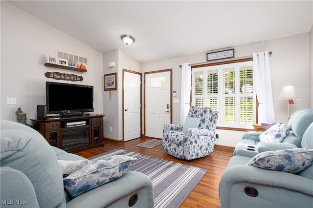 living room with wood-type flooring and vaulted ceiling