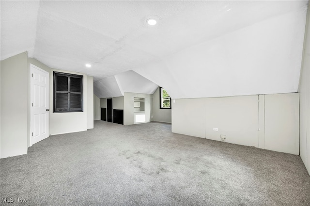 additional living space featuring a textured ceiling, lofted ceiling, and carpet