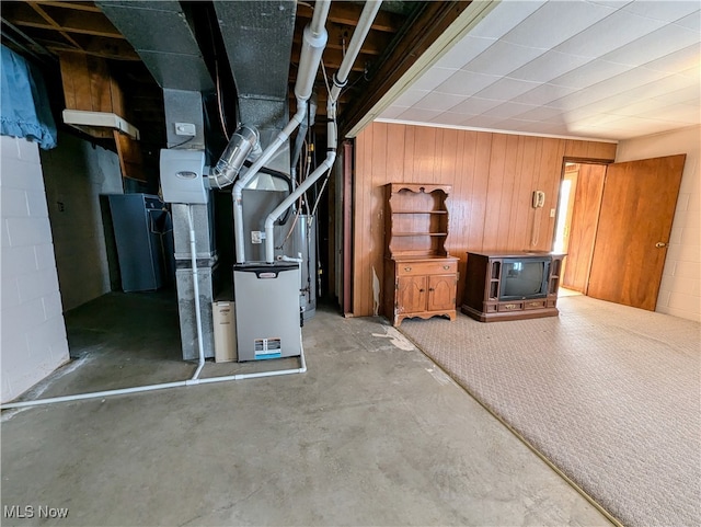 basement featuring wood walls