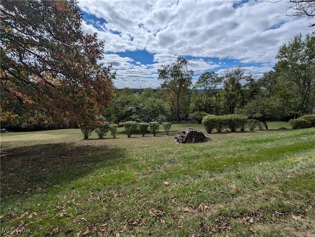 view of yard with a rural view