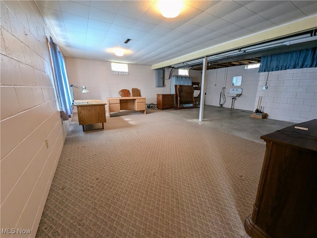 basement featuring carpet floors and electric panel