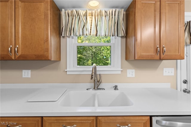 kitchen featuring sink and dishwasher