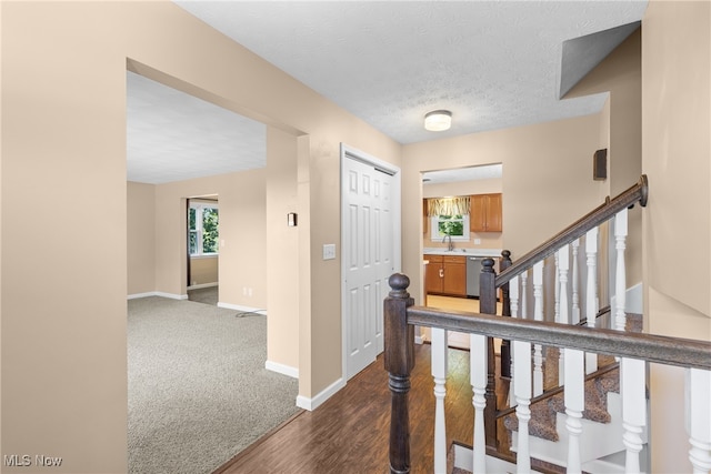 interior space featuring a textured ceiling, sink, and dark hardwood / wood-style flooring