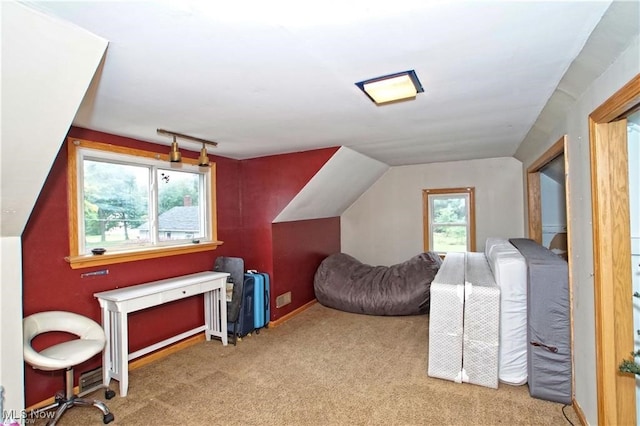 bonus room featuring a healthy amount of sunlight and light colored carpet