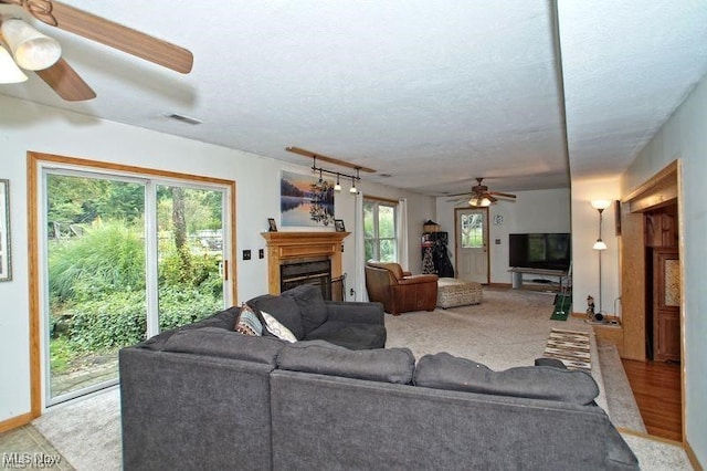 living room with a healthy amount of sunlight, ceiling fan, and light hardwood / wood-style flooring