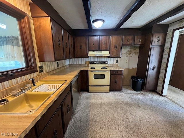 kitchen with light colored carpet, electric range, sink, stainless steel dishwasher, and a textured ceiling