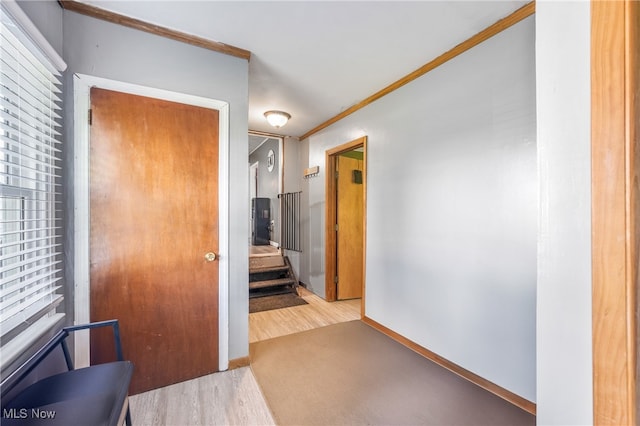 corridor featuring light hardwood / wood-style floors and ornamental molding