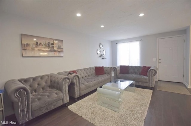 living room featuring dark wood-type flooring