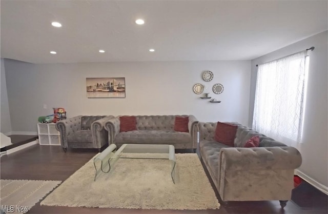 living room featuring dark hardwood / wood-style flooring