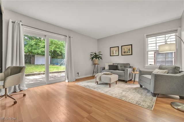 living room featuring light hardwood / wood-style flooring