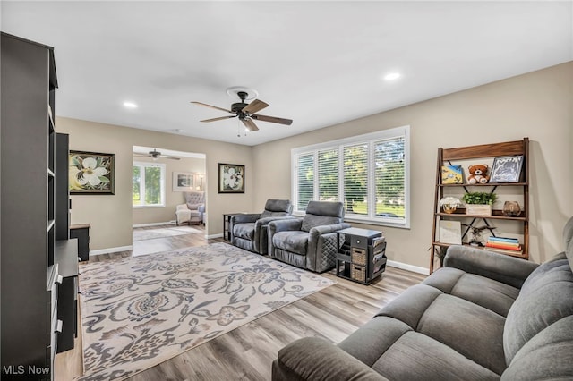 living room with ceiling fan, plenty of natural light, and light hardwood / wood-style floors