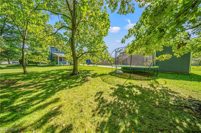 view of yard featuring a trampoline