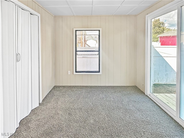 carpeted spare room featuring plenty of natural light and wood walls