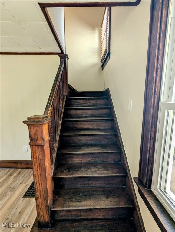 stairway with hardwood / wood-style floors