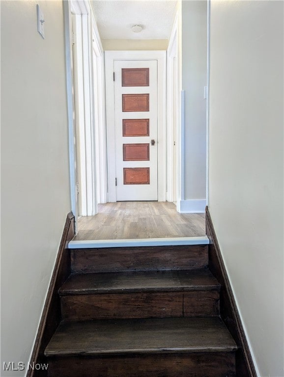 stairway with hardwood / wood-style flooring