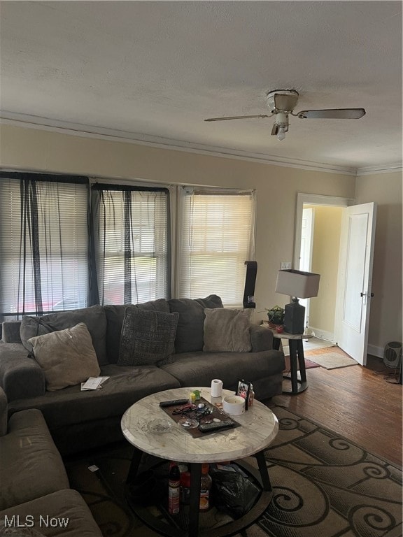 living room with hardwood / wood-style flooring, ceiling fan, and crown molding