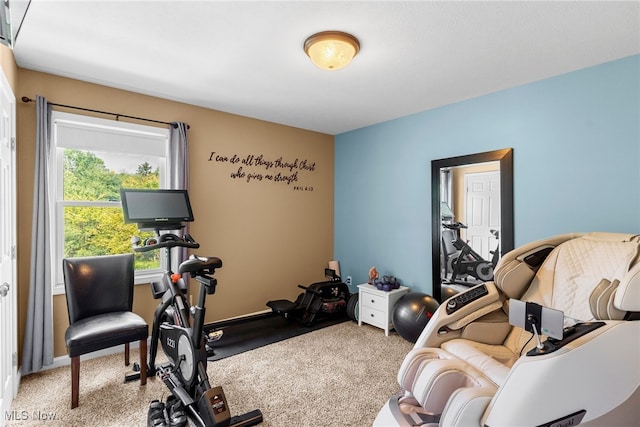 workout area featuring carpet