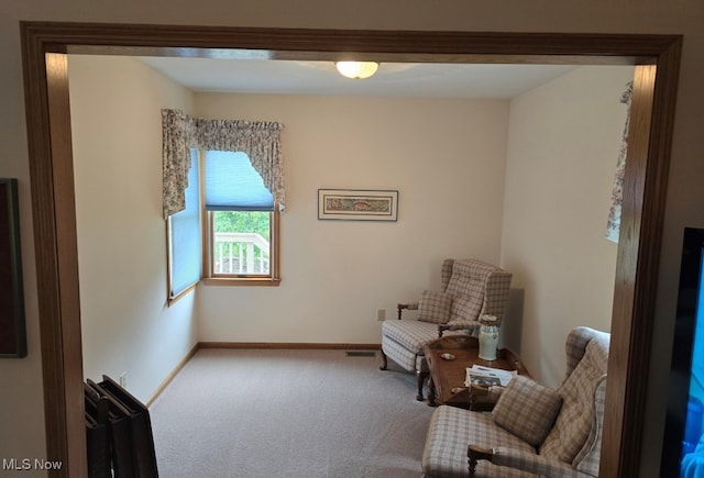 sitting room with carpet floors