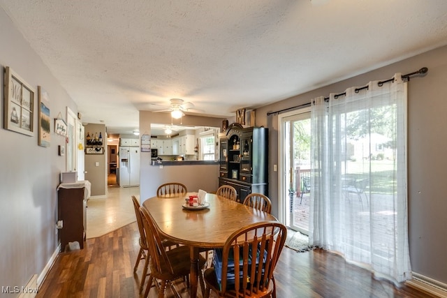 dining room with hardwood / wood-style flooring, a textured ceiling, and ceiling fan