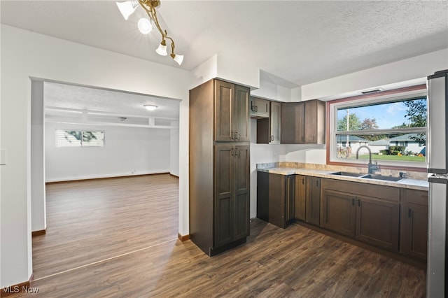 kitchen with dark brown cabinetry, sink, dark wood-type flooring, and a textured ceiling