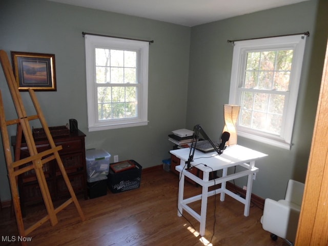 office area featuring a healthy amount of sunlight and wood-type flooring