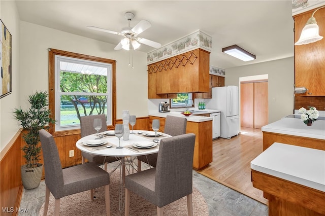 dining space with wood walls, sink, ceiling fan, and light hardwood / wood-style floors