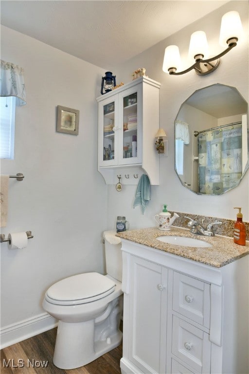 bathroom with wood-type flooring, vanity, and toilet