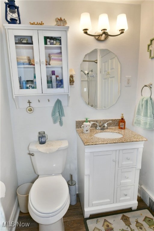 bathroom featuring vanity, toilet, and wood-type flooring