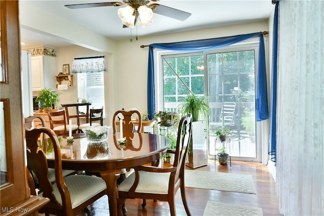 dining area featuring ceiling fan and hardwood / wood-style floors