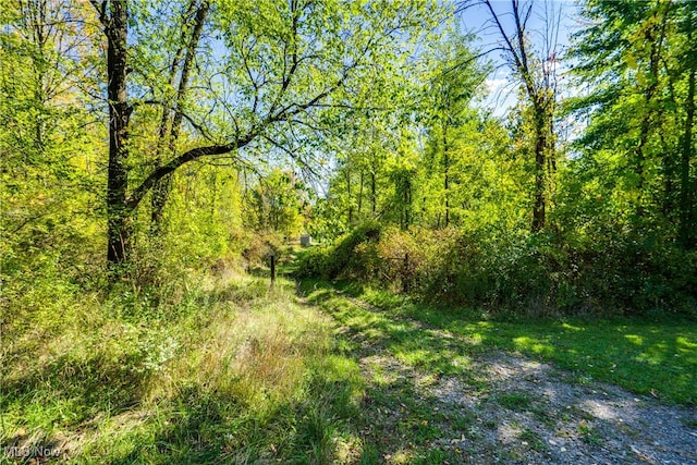 VL Ridgehill Ave, Alliance OH, 44601 land for sale