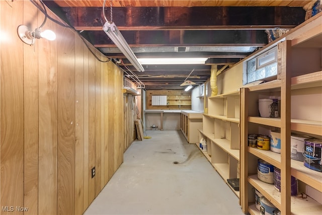 basement with wooden walls