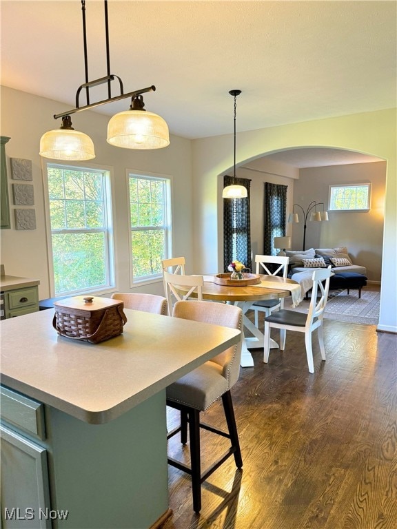 kitchen featuring green cabinetry, decorative light fixtures, dark wood-type flooring, and a kitchen island