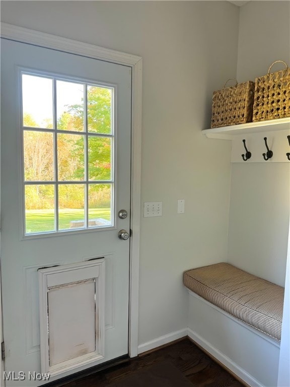 mudroom with dark hardwood / wood-style flooring