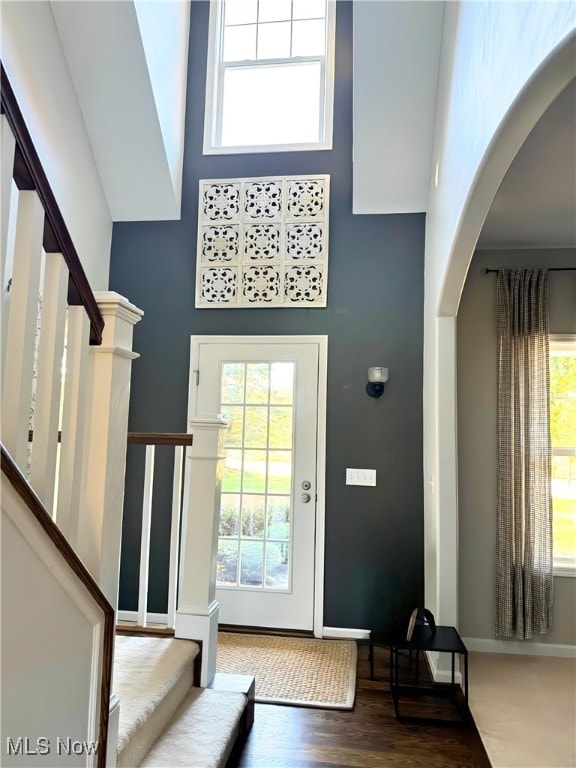 entryway featuring high vaulted ceiling and hardwood / wood-style floors