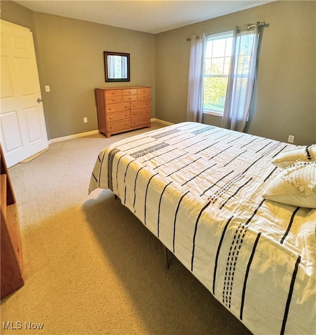 bedroom featuring carpet flooring