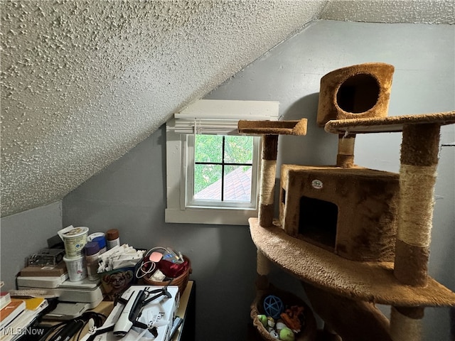 additional living space featuring a textured ceiling and lofted ceiling