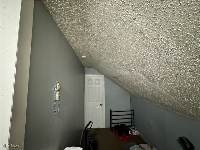 additional living space with lofted ceiling and a textured ceiling