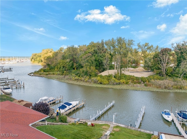 dock area with a water view