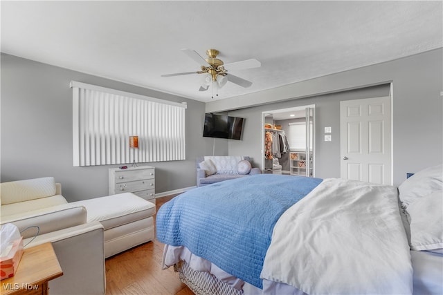 bedroom with ceiling fan, light wood-type flooring, a closet, and a walk in closet