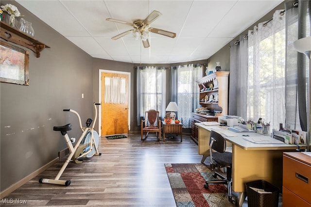 home office with ceiling fan, dark hardwood / wood-style floors, and a healthy amount of sunlight