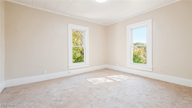 unfurnished room with carpet floors, crown molding, and a wealth of natural light