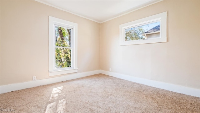 empty room with crown molding and carpet