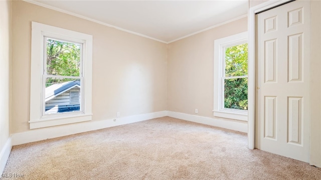 spare room featuring light colored carpet, crown molding, and a healthy amount of sunlight