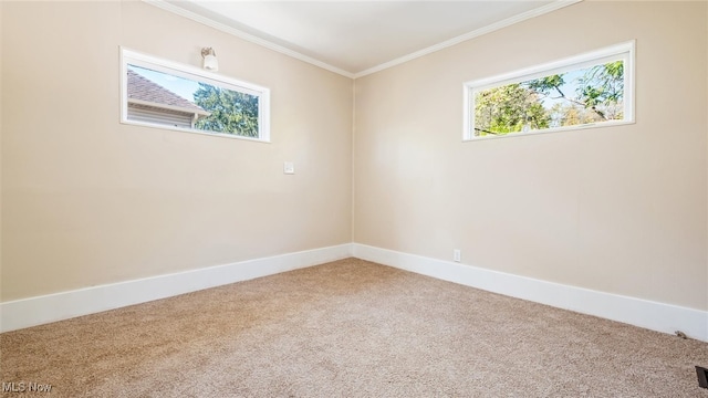 empty room featuring carpet floors and crown molding