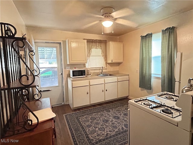 kitchen with white appliances, dark hardwood / wood-style floors, sink, and a healthy amount of sunlight