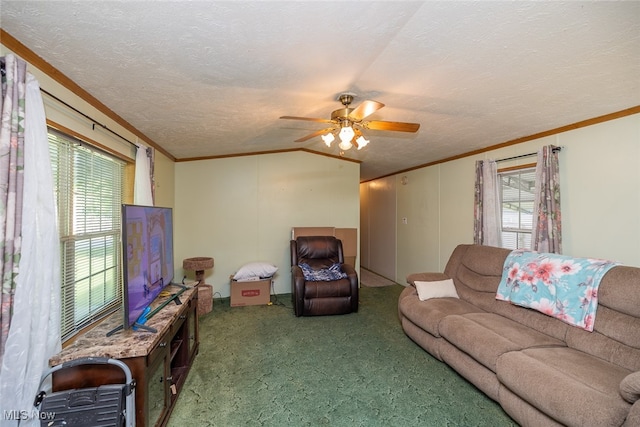 carpeted living room with ceiling fan, a textured ceiling, and plenty of natural light